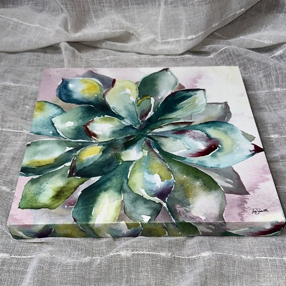 Tre Sorelle Studios "Succulent Watercolor 11" Art Print 11" Stretched Canvas EUC - Picture 4 of 7